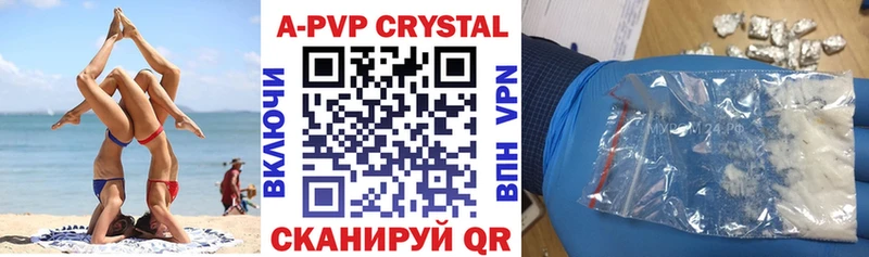 Альфа ПВП СК КРИС  Грозный 