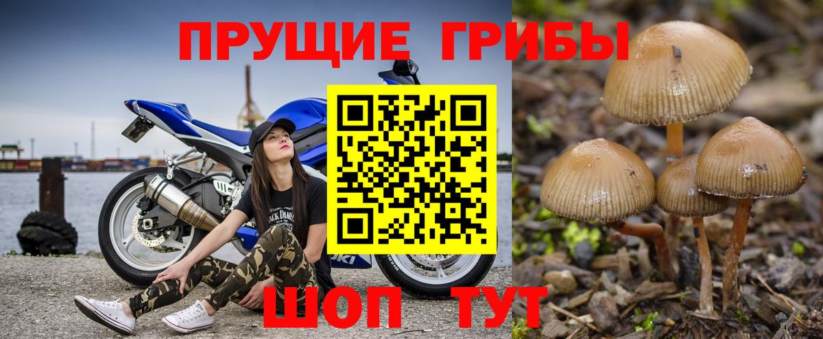 Псилоцибиновые грибы мухоморы Грозный