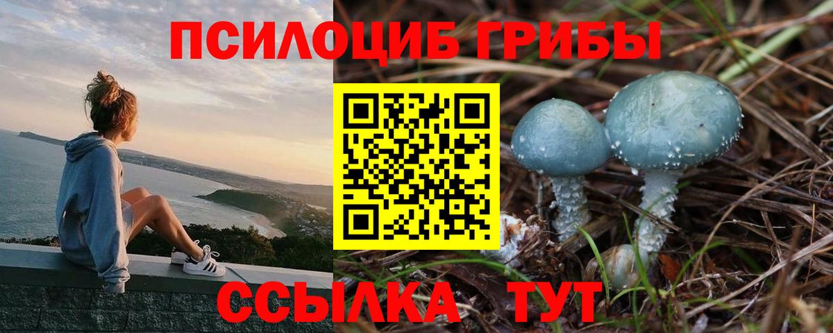 Галлюциногенные грибы ЛСД  Вход с VPN  Псилоцибиновые грибы MAGIC MUSHROOMS  Грозный 
